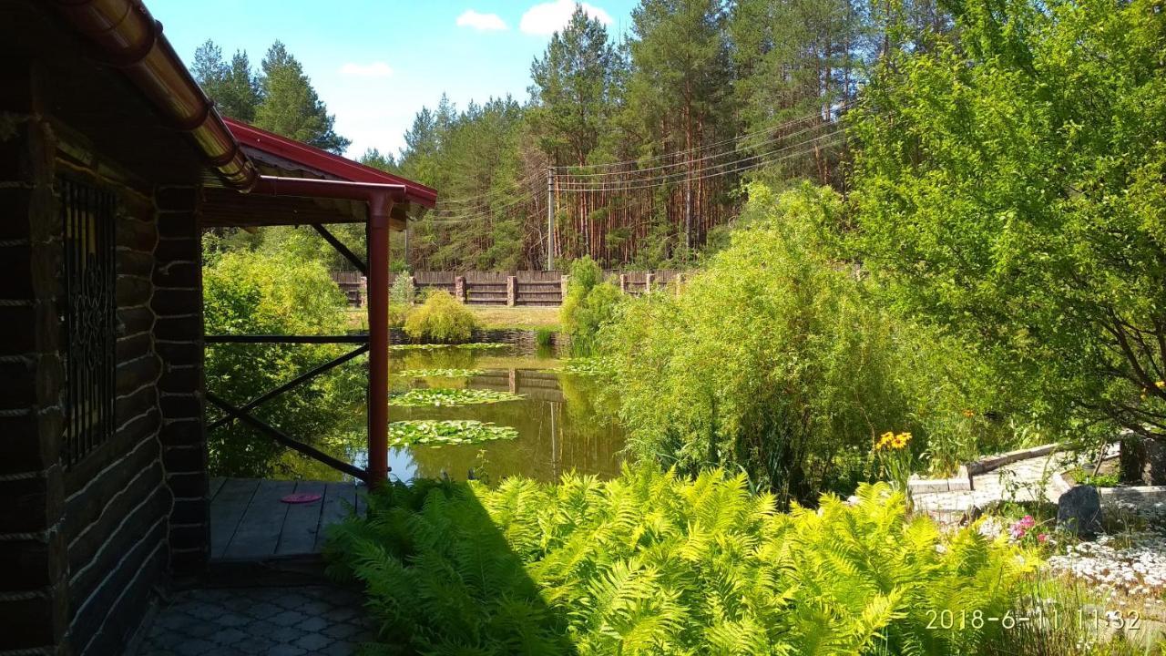 затишна з озером біля лісу Holiday home